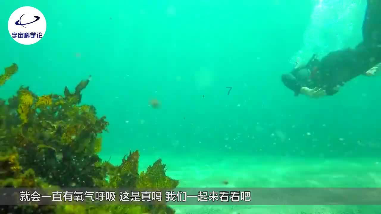 广西兴业县人力资源市场（零工市场）揭牌